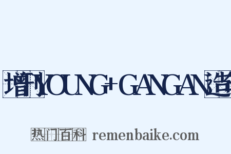 增刊YOUNG+GANGAN造句是什么意思的图片